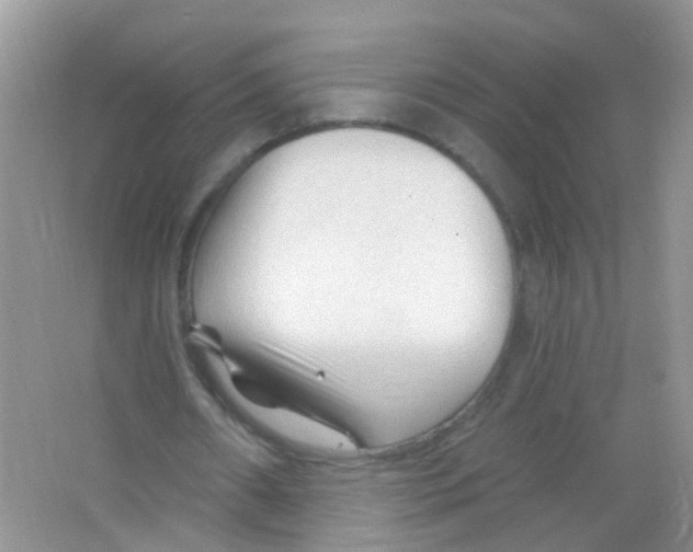 X0000065970482200603311843