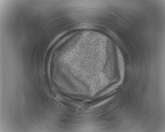 X0000065970484200603311842