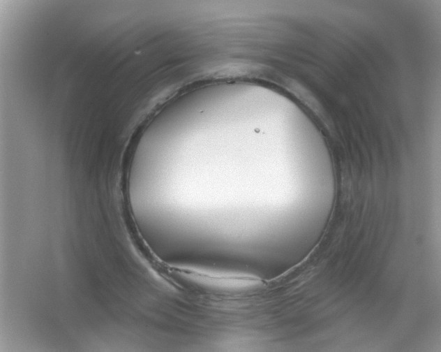 X0000065970485200603311842