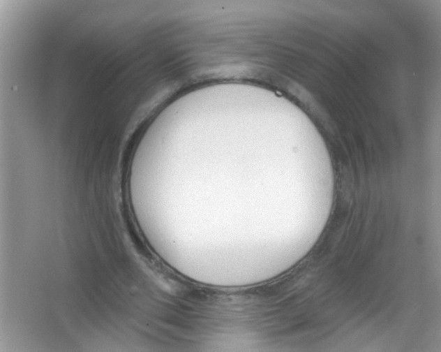 X0000065970486200603311842