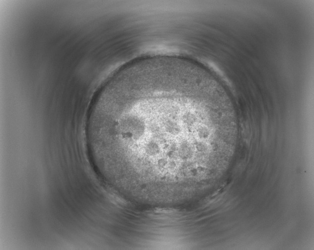 X0000065970487200603311842