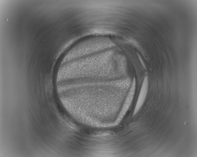 X0000065970488200603311842