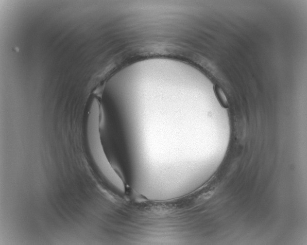 X0000065970489200603311842