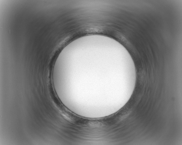 X0000065970490200603311842