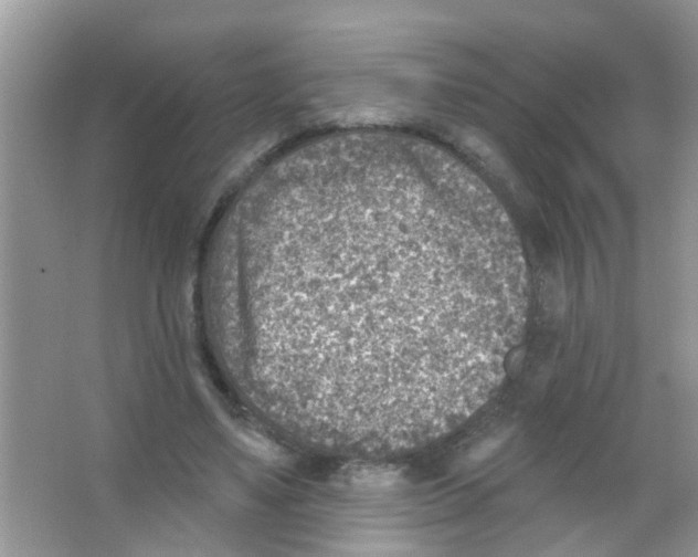 X0000065970491200603311842