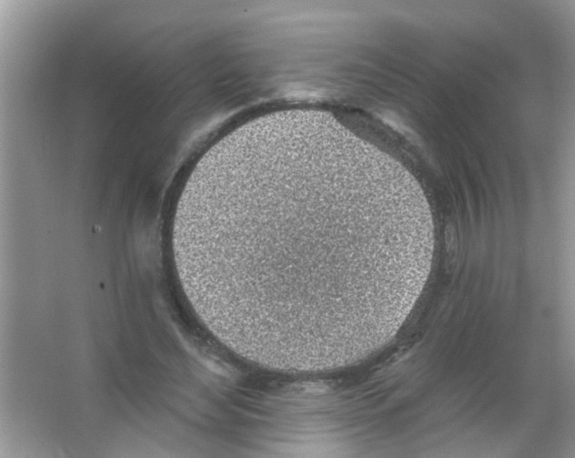 X0000065970492200603311842