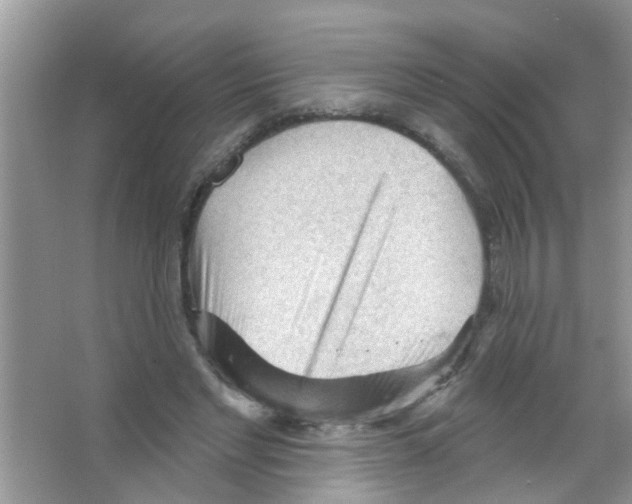 X0000065970493200603311842