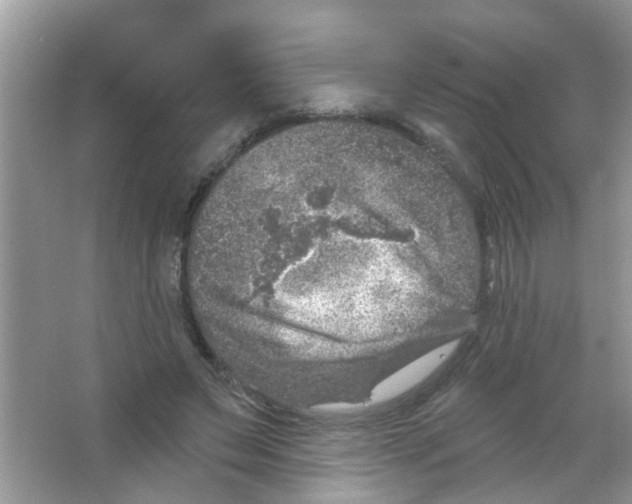 X0000065970495200603311842