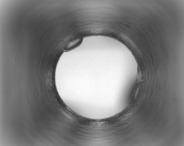 X0000065970497200603311842