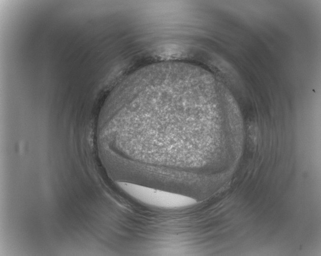 X0000065970499200603311842