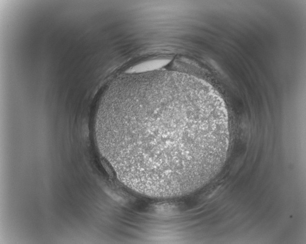 X0000065970500200603311842