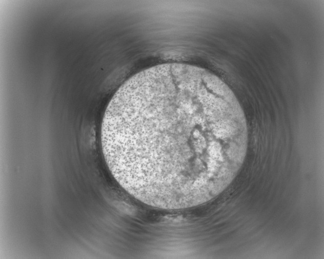 X0000065970502200603311842