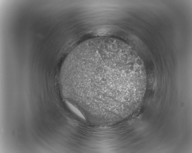 X0000065970503200603311842