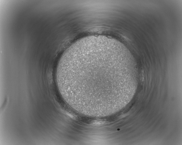 X0000065970504200603311842