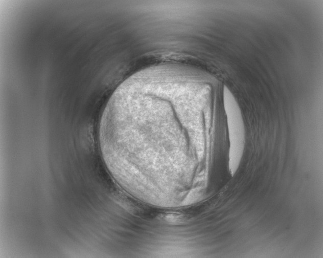 X0000065970506200603311842