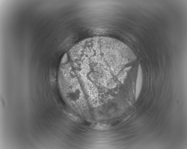 X0000065970507200603311842