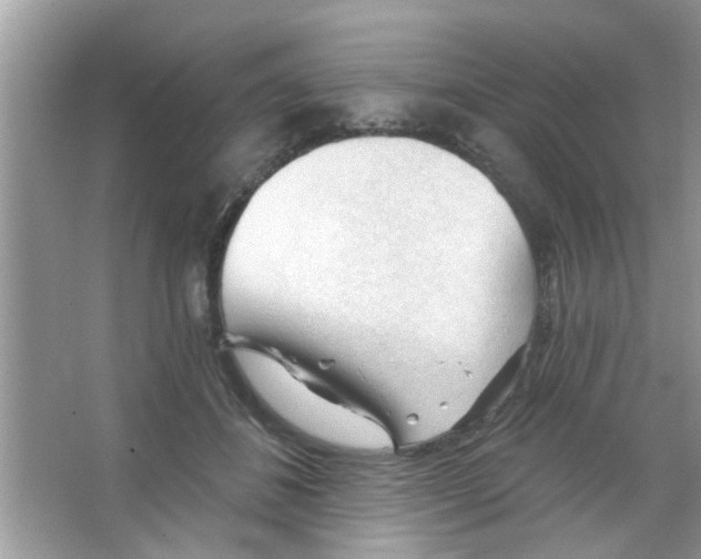 X0000065970508200603311842