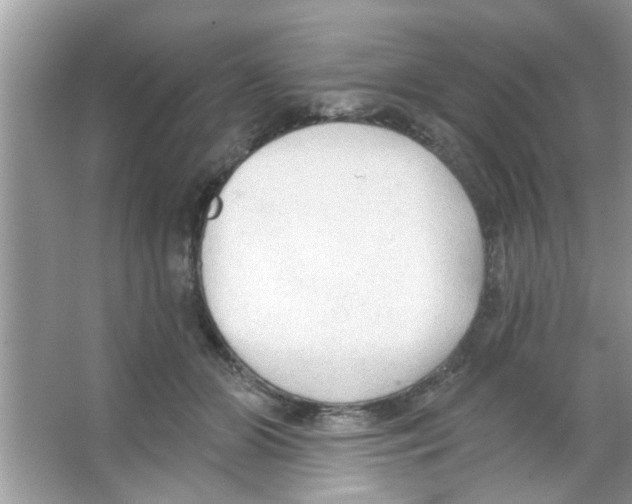 X0000065970510200603311842