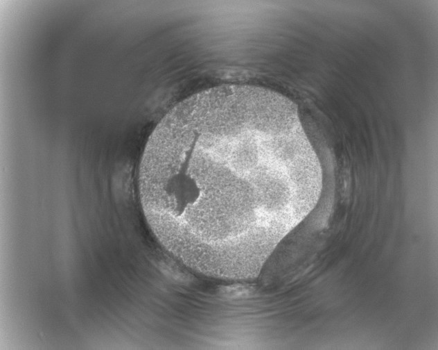 X0000065970511200603311842