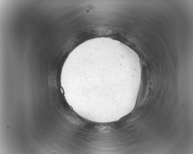 X0000065970512200603311842