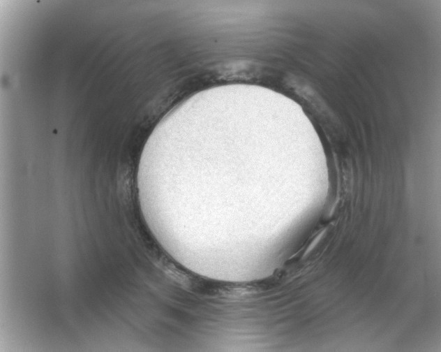 X0000065970513200603311842