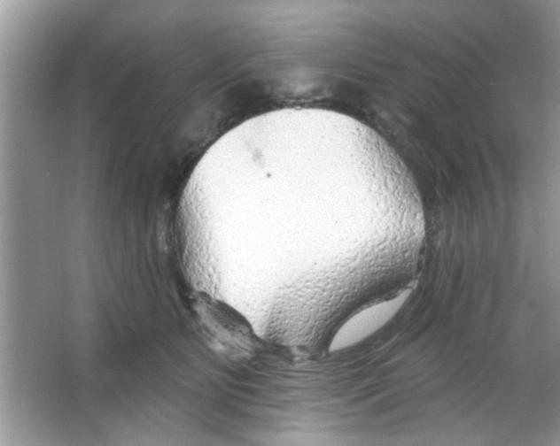 X0000065970515200603311842