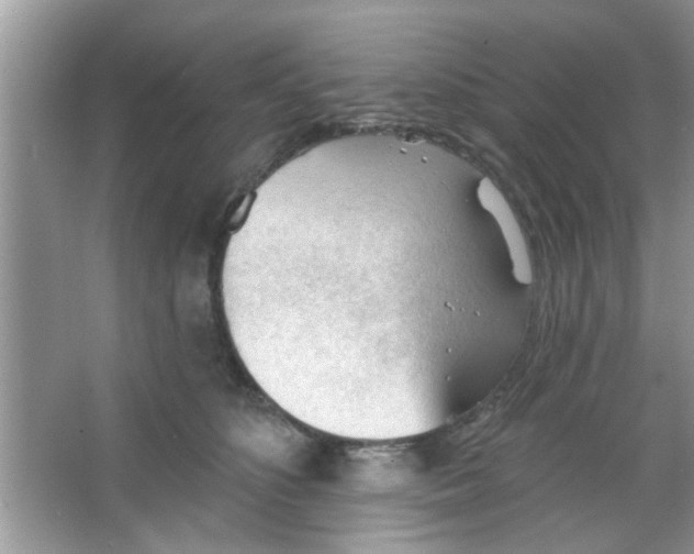 X0000065970516200603311842