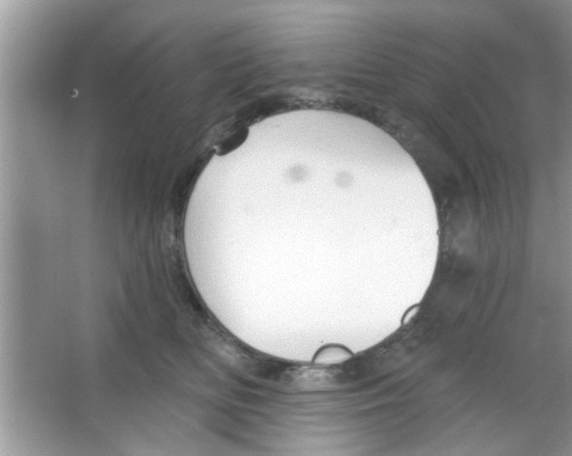 X0000065970518200603311842