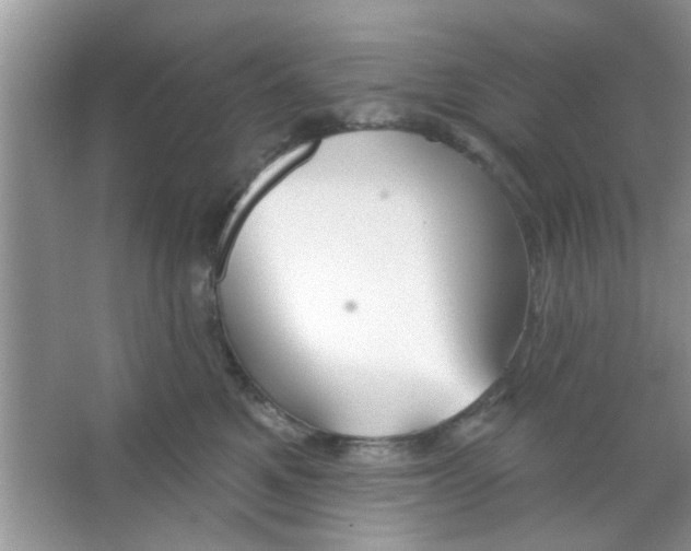 X0000065970521200603311842