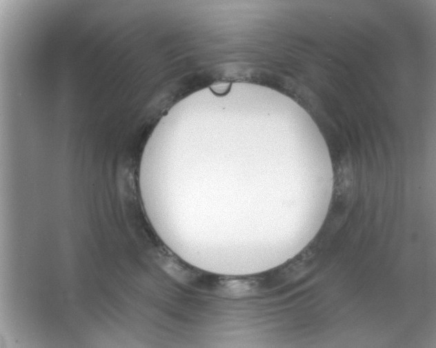 X0000065970522200603311842