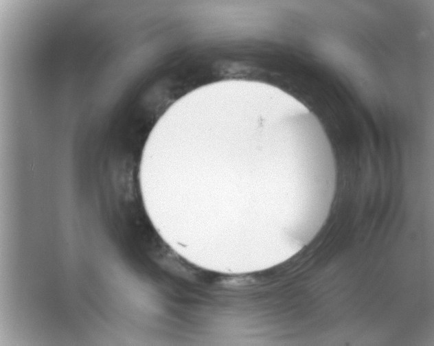 X0000065970525200603311842