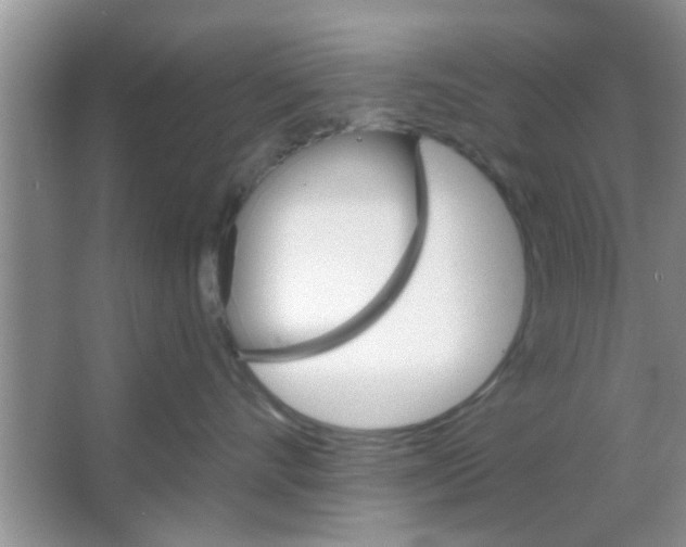 X0000065970528200603311842