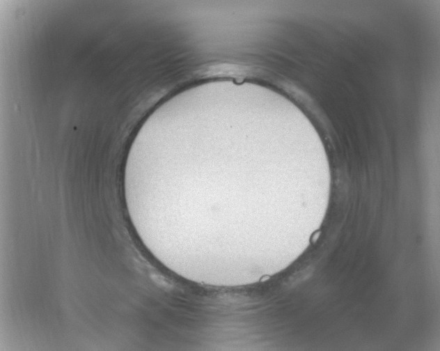 X0000065970529200603311841