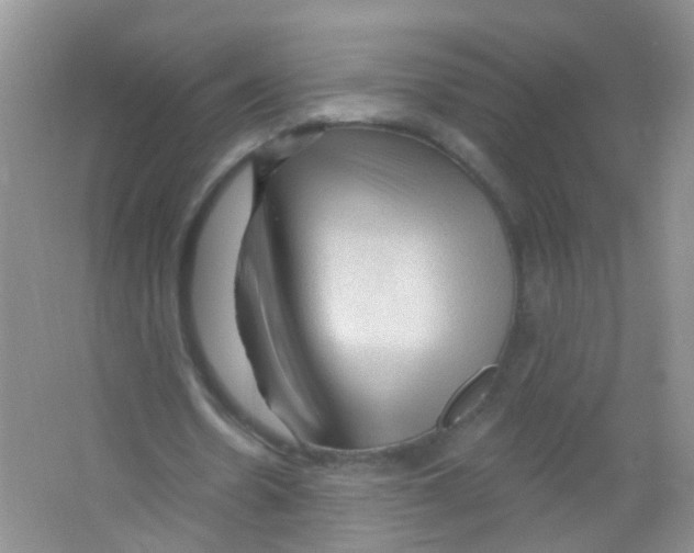 X0000065970530200603311841