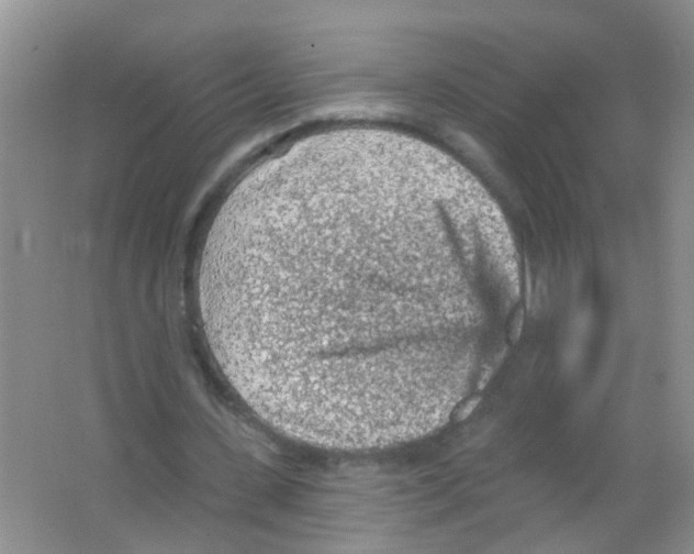 X0000065970531200603311841