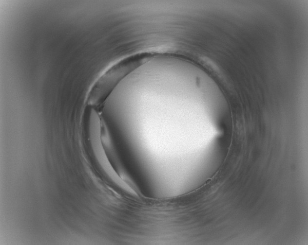 X0000065970532200603311841