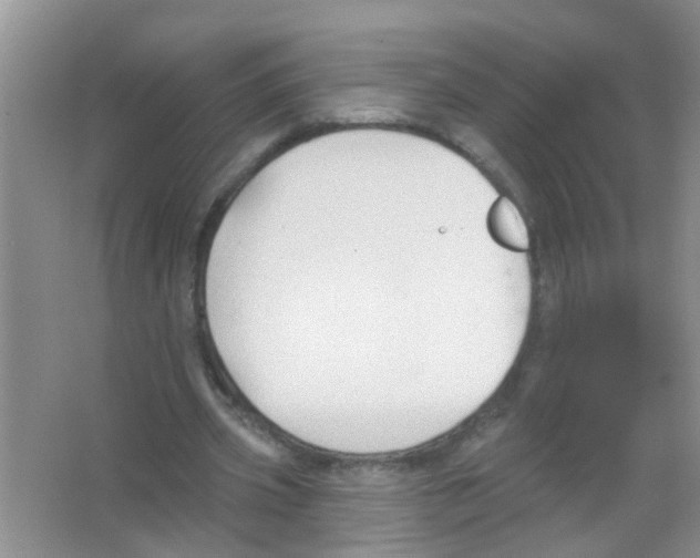 X0000065970533200603311841