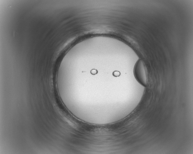 X0000065970535200603311841