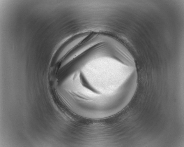 X0000065970536200603311841