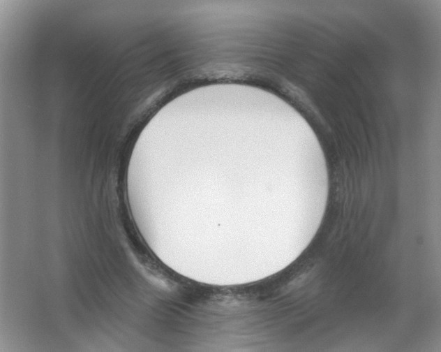 X0000065970538200603311841