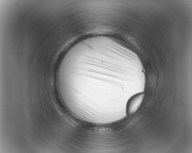 X0000065970539200603311841