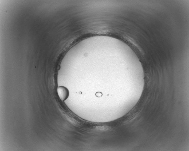 X0000065970541200603311841