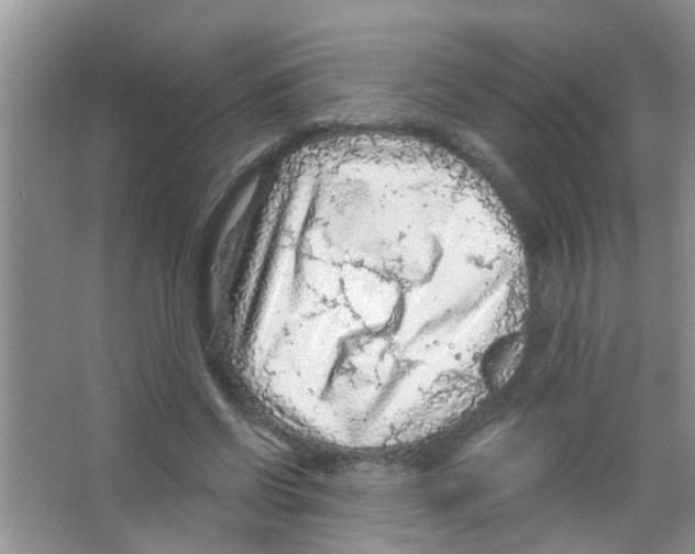 X0000065970542200603311841