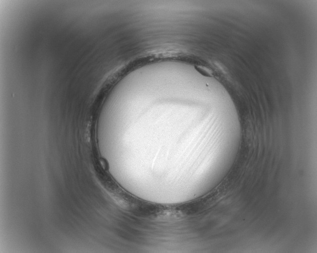 X0000065970543200603311841