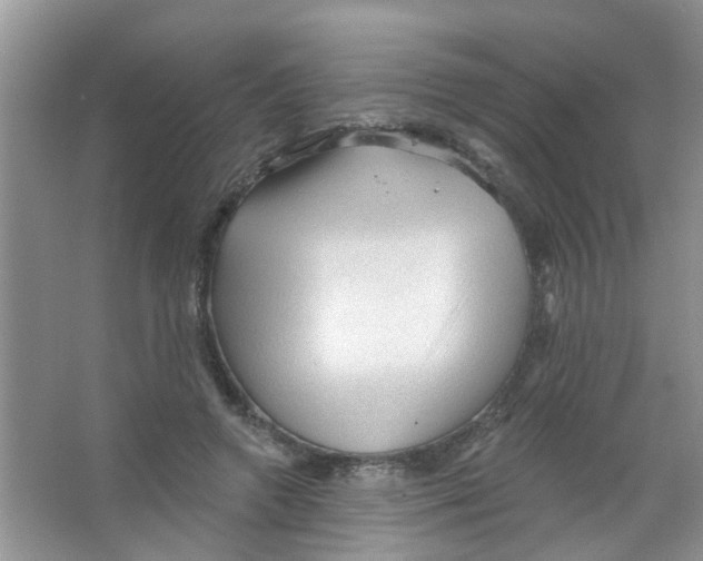 X0000065970546200603311841