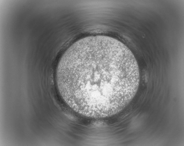 X0000065970547200603311841