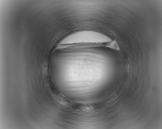 X0000065970552200603311841