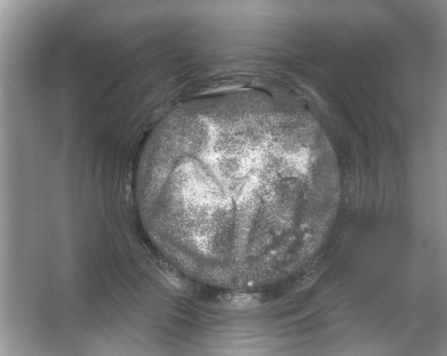 X0000065970553200603311841