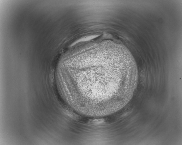 X0000065970554200603311841