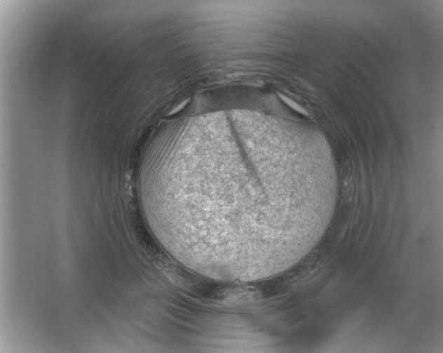 X0000065970555200603311841